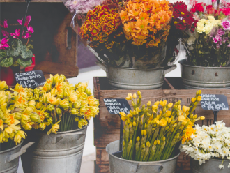 Fleurs et garden center